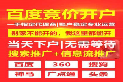 搜索引擎营销（SEM）竞价策略案例
